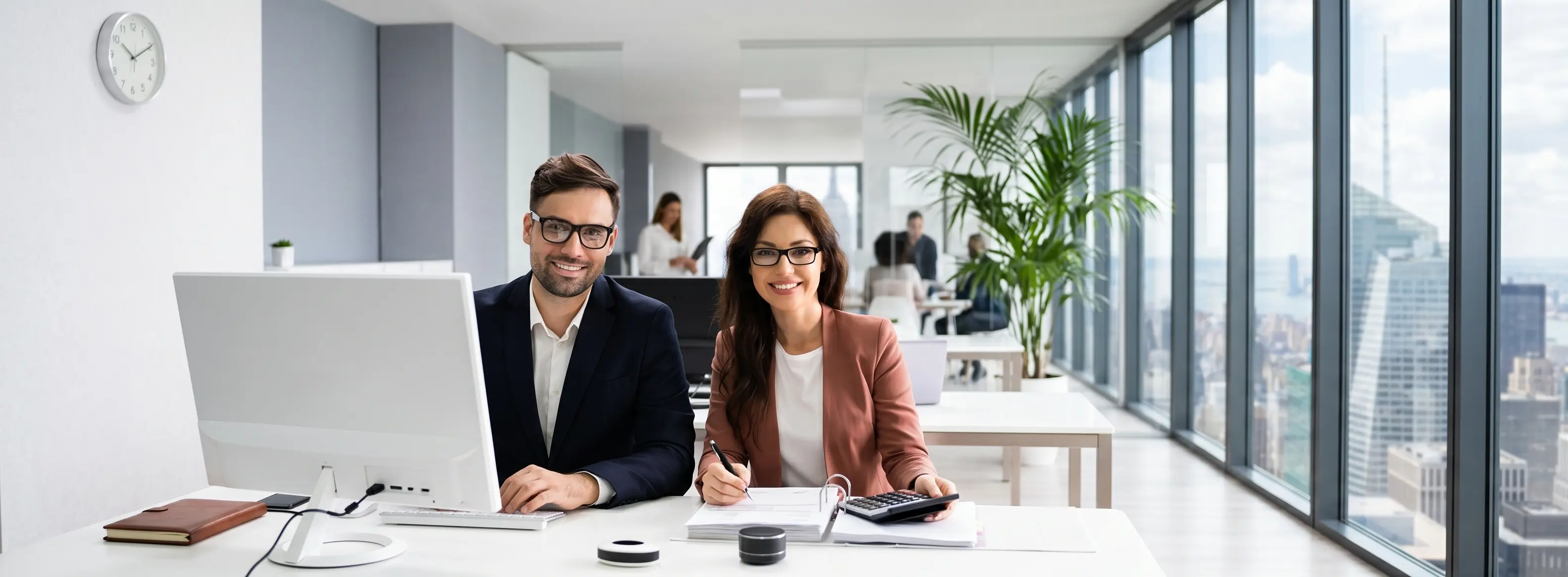 Servicios legales, contables, financieros y seguros